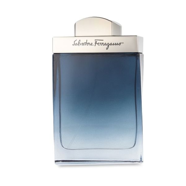 Ferragamo subtil 100ml edt spray